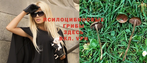 твердый Алексеевка