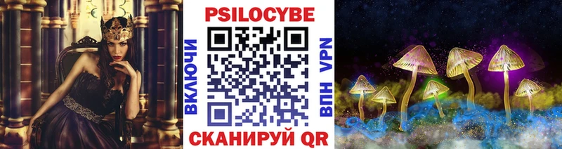 Псилоцибиновые грибы Psilocybe как найти Люберцы